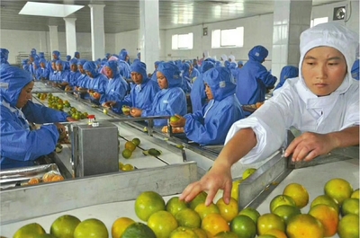 【一手项目高薪出国打工两年买车买房,建筑工货运司机工厂普工】价格_厂家_批发_参数_图片_劳务输出栏目