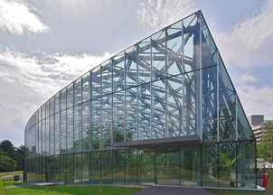 从番茄工厂化生产解析荷兰温室优质高产的原因