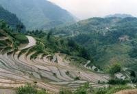 六安粮油基地项目建筑工程劳务资金申请报告